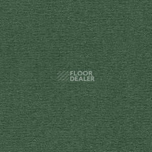 Ковролин Radici Nexus Foresta 8222 фото 1 | FLOORDEALER